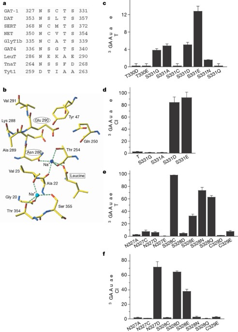 Mechanism Of Chloride Interaction With Neurotransmitter Sodium Symporters Nature