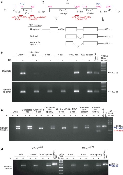Gore et al. reply | Nature