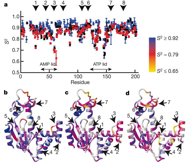 Hierarchy of time scales for protein motions. From left to right