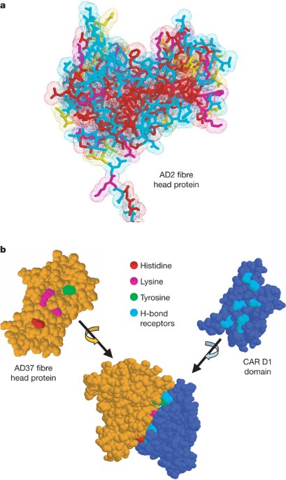 Science And Technology For Water Purification In The Coming Decades Nature