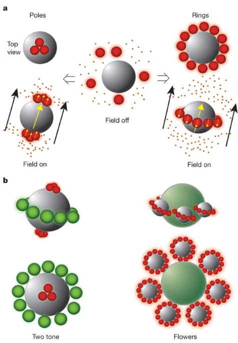 Magnetic assembly of colloidal superstructures with multipole symmetry