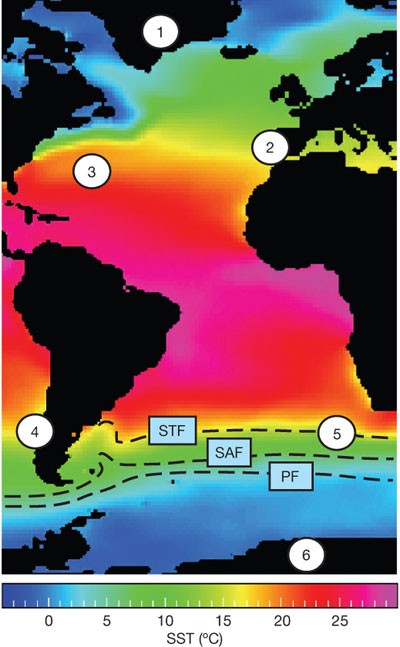 Interhemispheric atlantic seesaw response during the last deglaciation