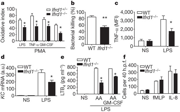 Identification of ifrd1 as a modifier gene for cystic fibrosis lung disease