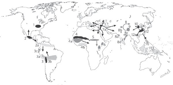 The nature of selection during plant domestication