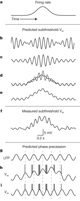 Intracellular dynamics of hippocampal place cells during virtual navigation