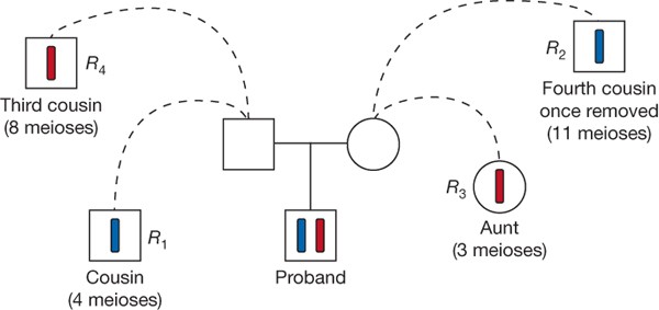 Parental origin of sequence variants associated with complex diseases