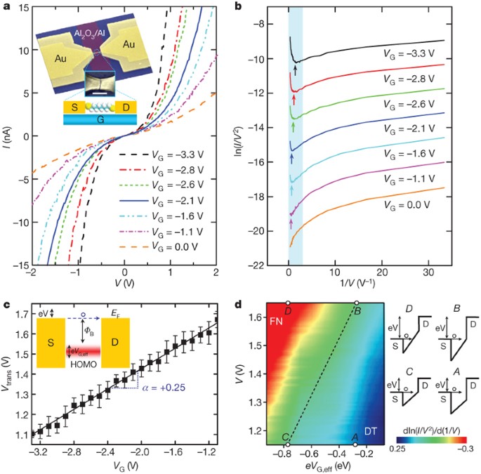 Observation Of Molecular Orbital Gating Nature