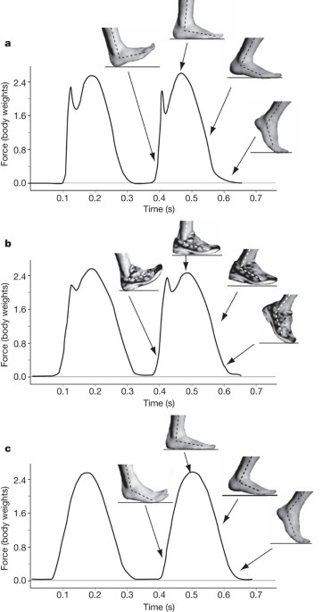 Foot patterns and collision forces in habitually barefoot versus shod runners | Nature