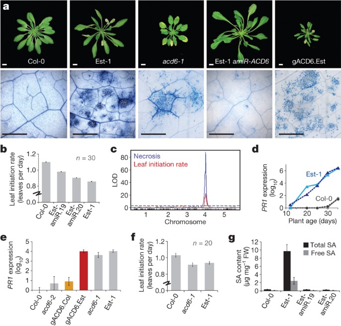 Natural allelic variation underlying a major fitness trade-off in arabidopsis thaliana
