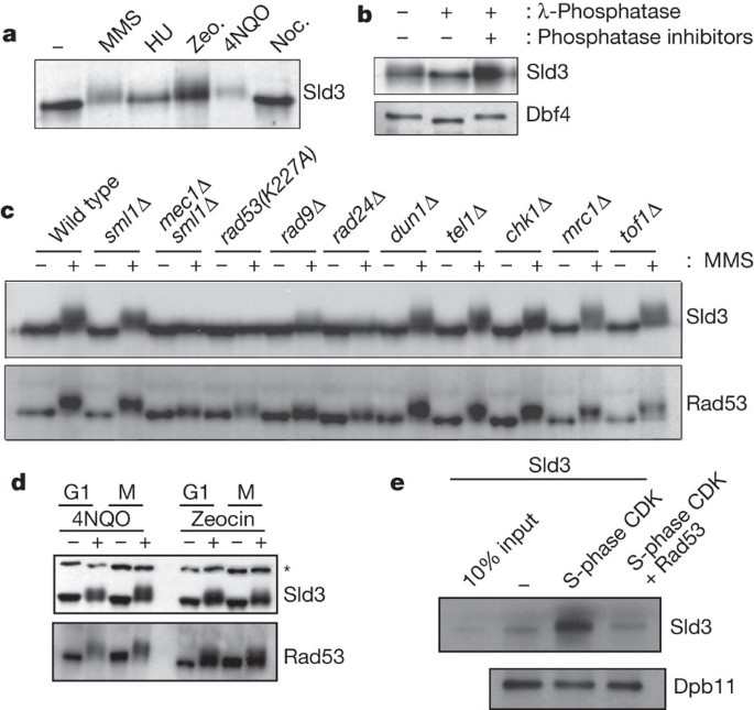 Damage-induced phosphorylation of sld3 is important to block late origin firing