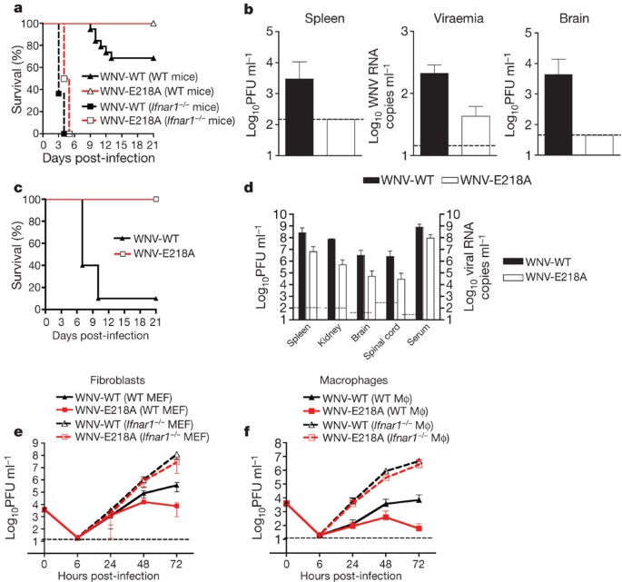 2′-O methylation of the viral mRNA cap evades host restriction by IFIT  family members