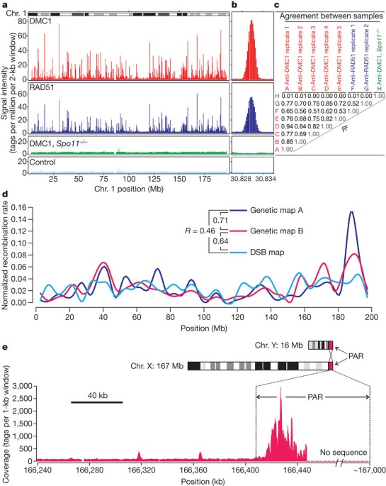 Genome-wide analysis reveals novel molecular features of mouse recombination hotspots