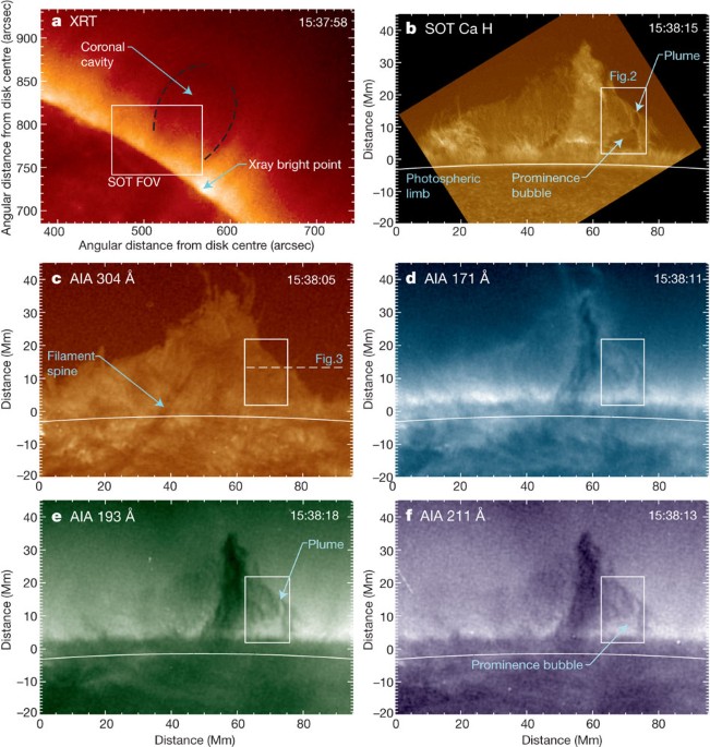 Magneto Thermal Convection In Solar Prominences Nature