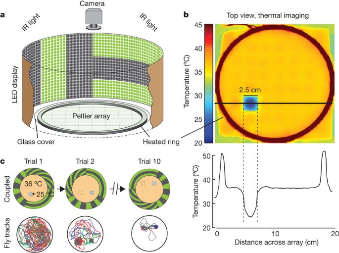 Visual place learning in drosophila melanogaster