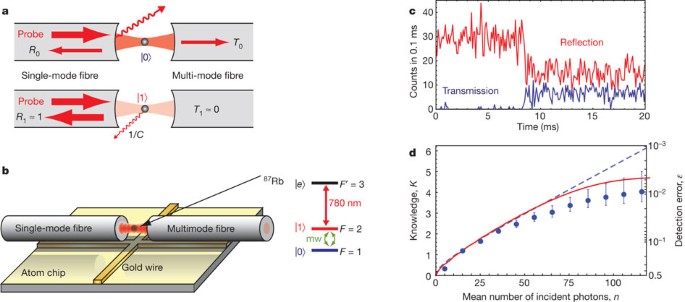 Measurement Of The Internal State Of A Single Atom Without Energy Exchange Nature