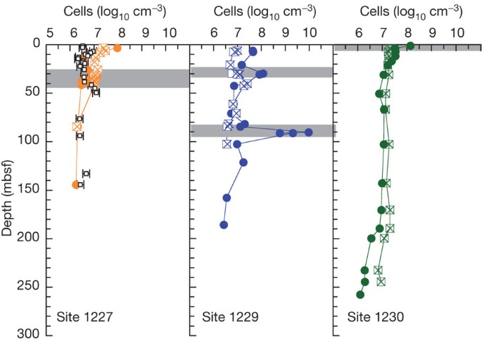 Endospore Abundance Microbial Growth And Necromass Turnover In
