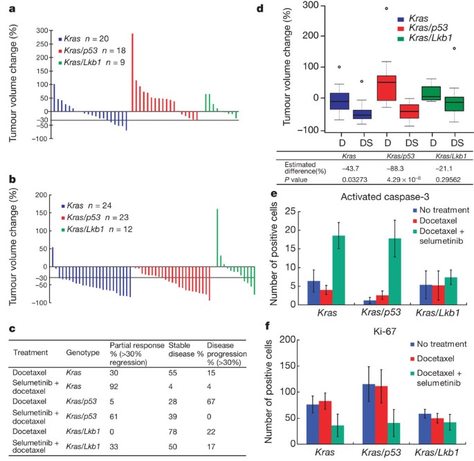 A murine lung cancer co-clinical trial identifies genetic