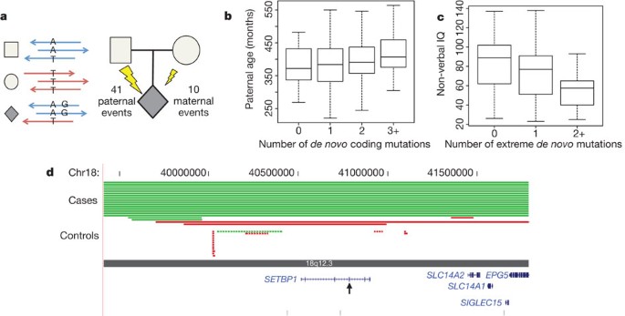 Sporadic Autism Exomes Reveal A Highly Interconnected Protein Network Of De Novo Mutations Nature