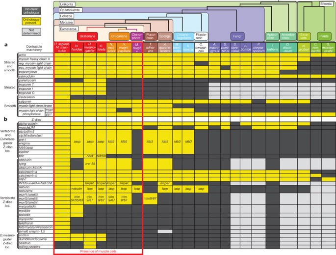 pokemon nature chart x and y - Google Search