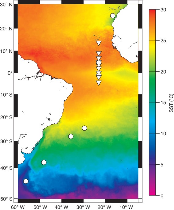 Климатических поясах расположен атлантический океан