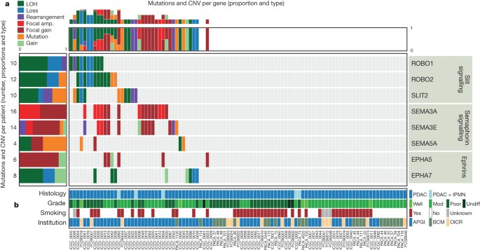 Pancreatic Cancer Genomes Reveal Aberrations In Axon Guidance Pathway Genes Nature