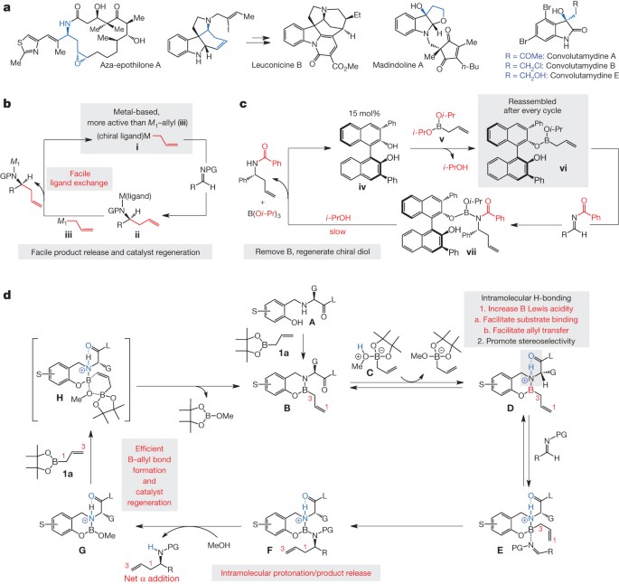 Simple Organic Molecules As Catalysts For Enantioselective Synthesis Of  Amines And Alcohols | Nature Simple Organic Molecules As Catalysts For Enantioselective Synthesis Of  Amines And Alcohols | Nature