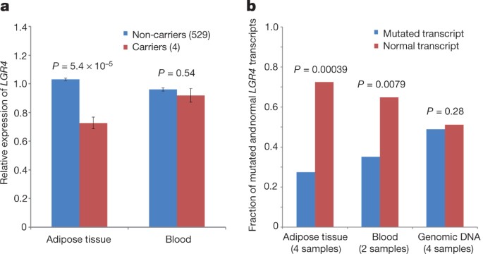 Nonsense Mutation In The Lgr4 Gene Is Associated With Several Human Diseases And Other Traits Nature