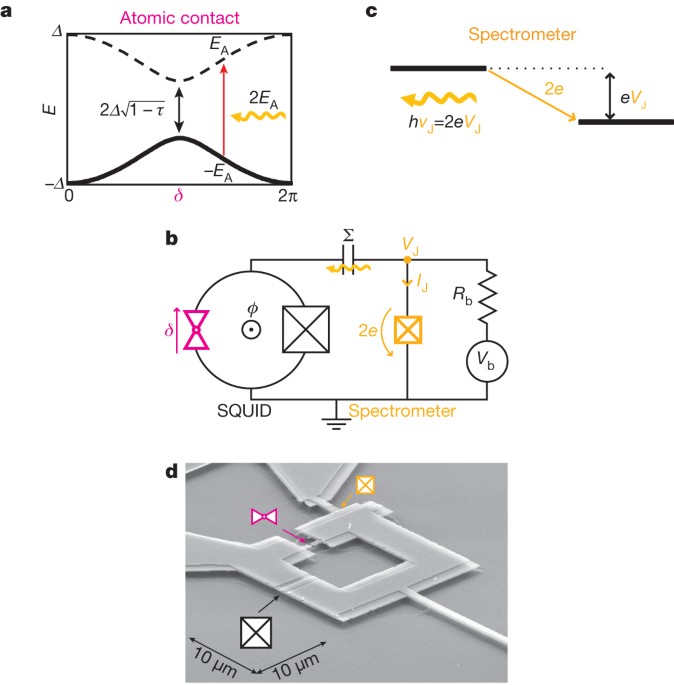 Exciting Andreev Pairs In A Superconducting Atomic Contact Nature