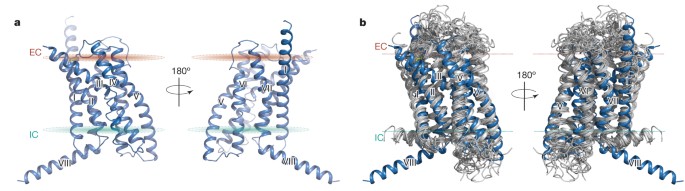 Structure of the human glucagon class b g-protein-coupled receptor