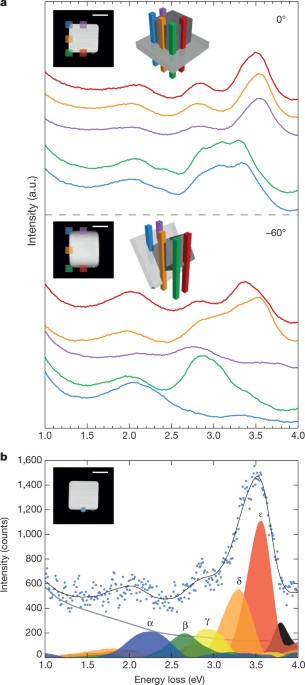 Three-dimensional imaging of localized surface plasmon resonances of metal nanoparticles