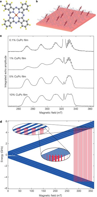 Potential for spin-based information processing in a thin-film molecular semiconductor