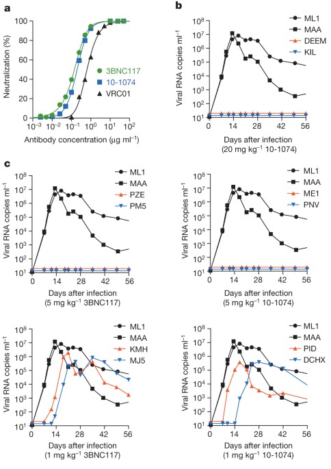 Antibody-mediated immunotherapy of macaques chronically infected with shiv suppresses viraemia