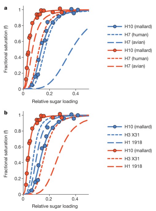 Receptor binding by h10 influenza viruses