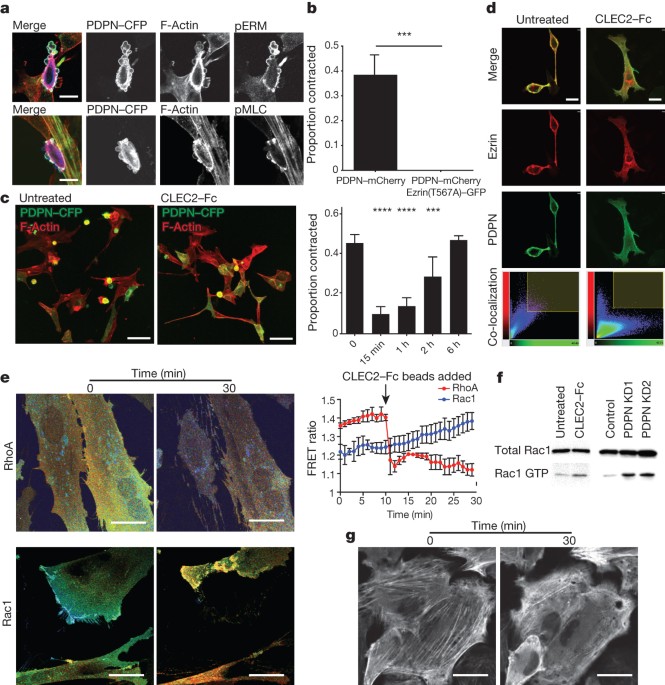 Jymph For Mac Software Management Jymph For Mac Software Management