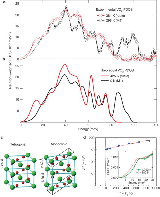 Metallization of vanadium dioxide driven by large phonon entropy