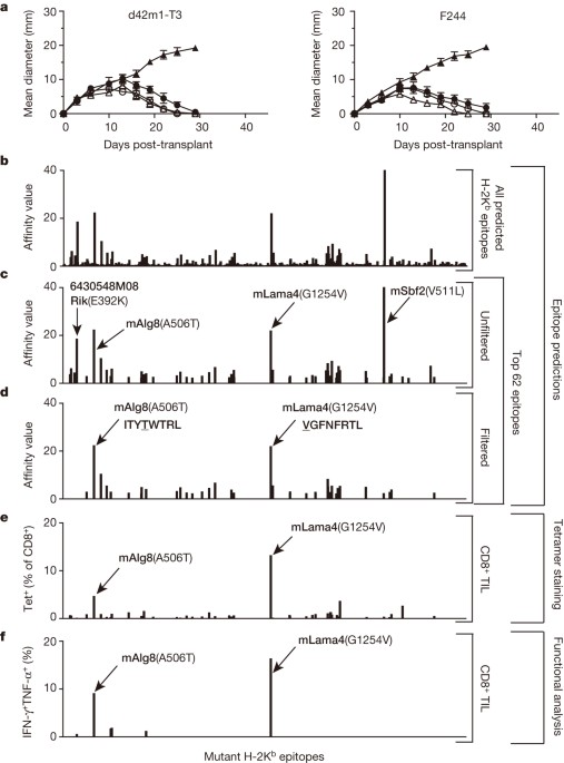 Checkpoint blockade cancer immunotherapy targets tumour-specific mutant antigens