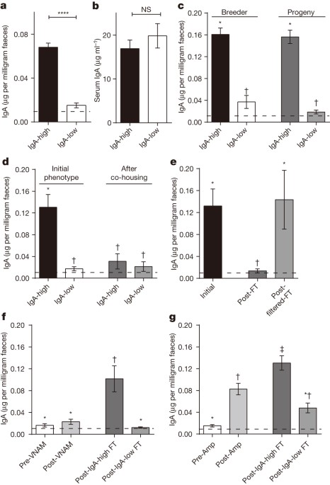 Vertically transmitted faecal iga levels determine extra-chromosomal phenotypic variation