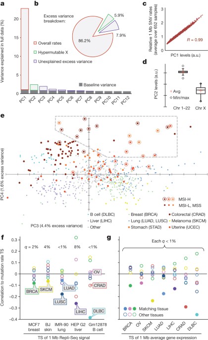 Differential dna mismatch repair underlies mutation rate variation across the human genome