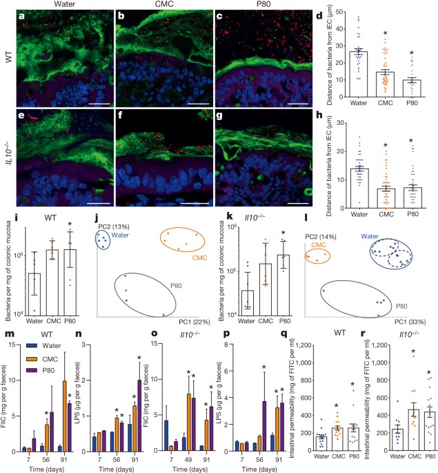 https://media.springernature.com/m685/springer-static/image/art%3A10.1038%2Fnature14232/MediaObjects/41586_2015_BFnature14232_Fig1_HTML.jpg