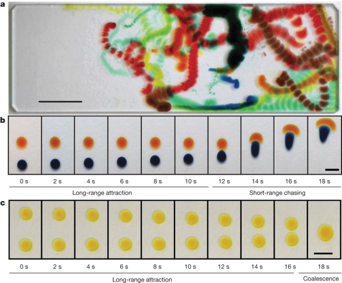 Vapour-mediated sensing and motility in two-component droplets | Nature