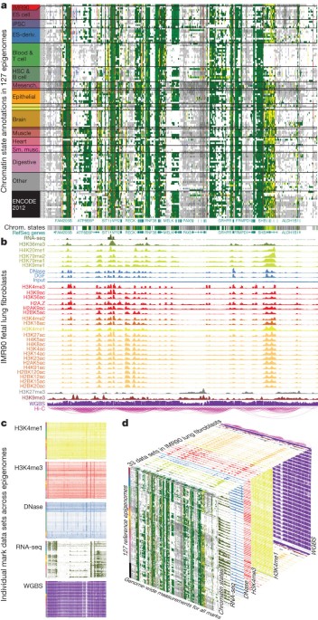 1. Annotation of the non-coding genome