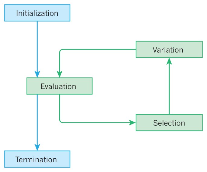 From Evolutionary Computation To The Evolution Of Things Nature