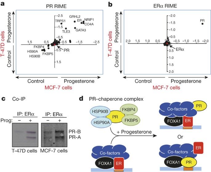 Progesterone Receptor Modulates Era Action In Breast Cancer Nature