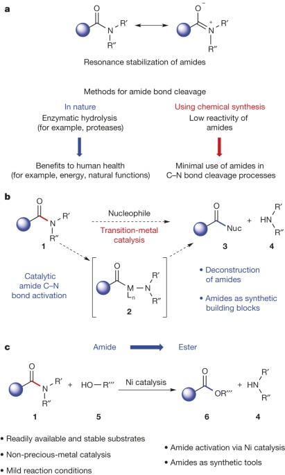 Conversion Of Amides To Esters By The Nickel Catalysed Activation Of Amide C N Bonds Nature