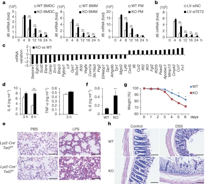 Tet2 is required to resolve inflammation by recruiting Hdac2 to 