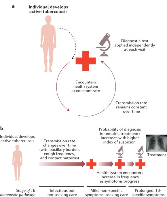Understanding the incremental value of novel diagnostic tests for  tuberculosis | Nature