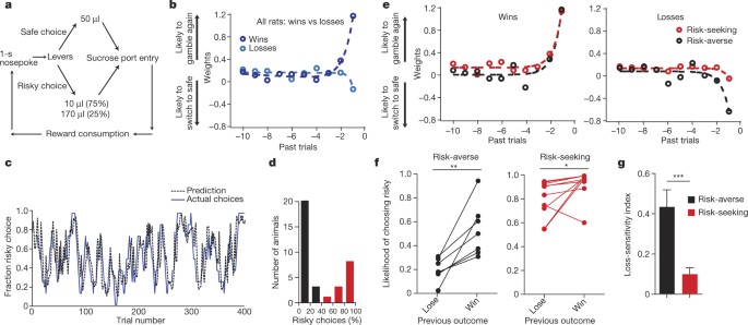 Nucleus Accumbens D2r Cells Signal Prior Outcomes And Control Risky Decision Making Nature Nucleus Accumbens D2r Cells Signal Prior Outcomes And Control Risky Decision Making Nature