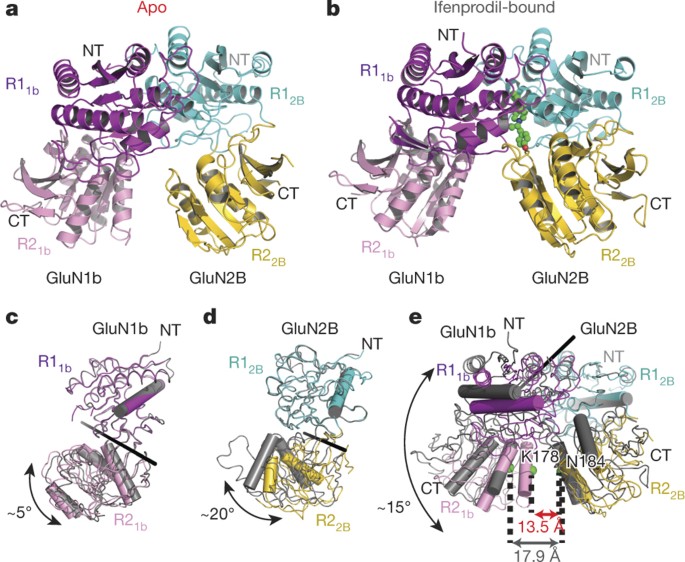 Activation Of Nmda Receptors And The Mechanism Of Inhibition By Ifenprodil Nature