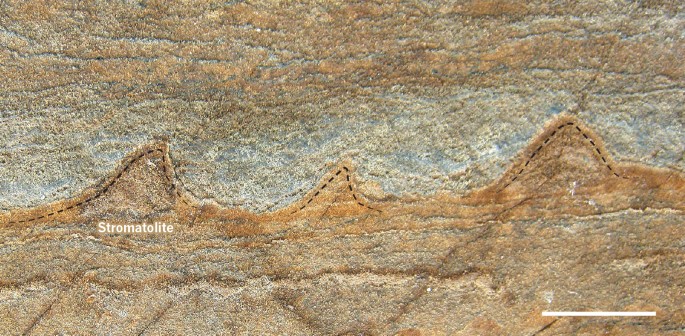 Evidence of life in Earth's oldest rocks | Nature