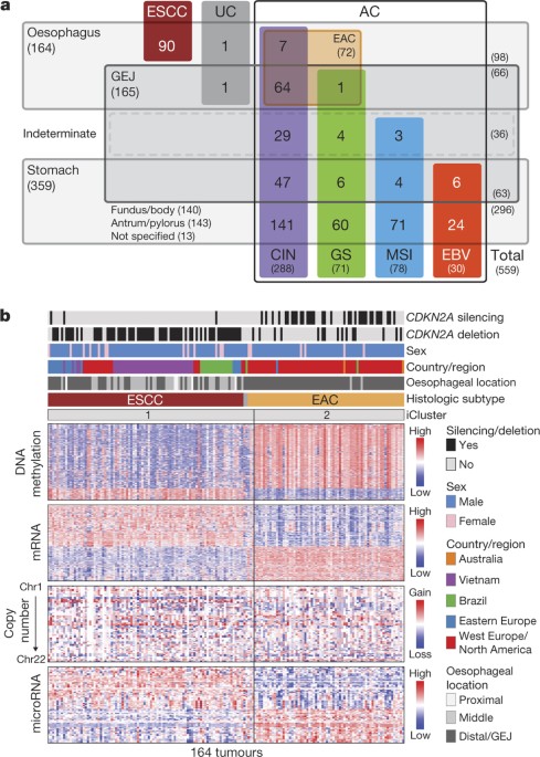 Integrated Genomic Characterization Of Oesophageal Carcinoma Nature